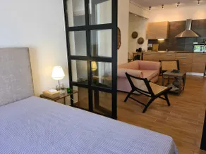 Aelia luxury apartment with private entrance - Image 5