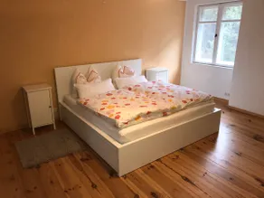 Renovated furnished old building apartment on the edge of the forest - Image 3