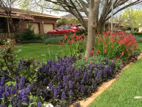 Spacious 4 Bedroom Home with Pool - Image 2