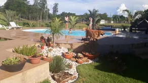 Foz do Iguaçu. Stay in nature. with pool - Image 2