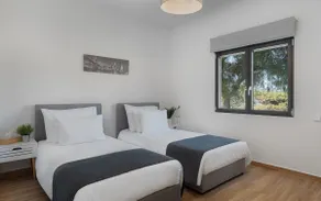 Sounio Black Villa - Image 3