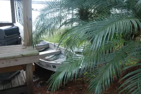 Lk Saunders Shores. A perfectly peaceful getaway. - Image 4