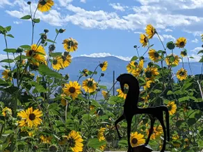 Breathtaking views with great outdoor spaces - Image 2