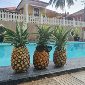 Relaxing WFH/Frnds+Fam vacay at Suchi's Goa villa! - Image 4