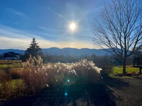 Mountain View Retreat~Sunny Hill Golf / Skiing - Image 2