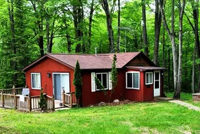 Lucky Bear Lodge. Secluded Cabin in the Woods, Beach access. Pet friendly  - Image 4