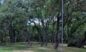 StayNow@TheHaus between New Braunfels/Canyon Lake - Image 5