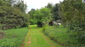 Wild Forest Inn - Image 2