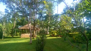 Home away from home - Image 2