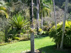 a piece of paradise - Image 5