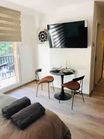 Apartment close to all the attractions in Pucón - Image 3