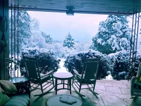 Toad Hill: Dog Friendly! Close to Smokies, Airport - Image 3