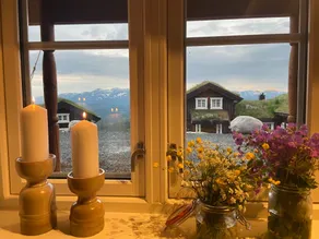 Apartment in a new cabin in Holtardalen - Image 4