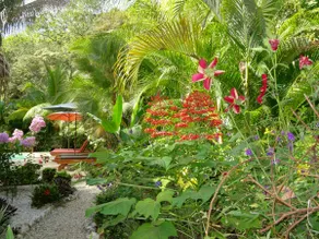 Hotel El Pequeño Gecko Verde - Image 2