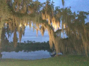 Just Available! Waterfront haven 40 min to NOLA - Image 3
