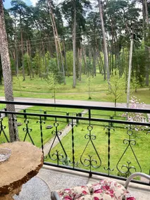 Park Apartment in Kulautuva - Image 5
