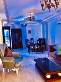 A luxurious apartment for a great deal - Image 4