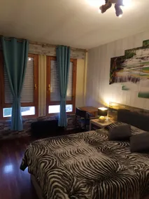 ”NuevaCanfranc” Mountain Apartment - Image 3