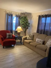 The Linden Airbnb - Image 3