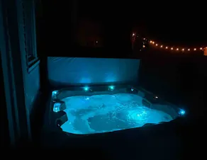 Hot Tub, 2 Fireplaces, Huge, Across from Lake MI! - Image 4