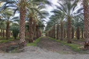 Beautiful 1 Acre Property-Private area - Image 2