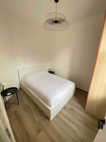 Luxury apartment, St Roch station and Place de la Comédie. - Image 3