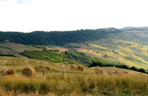 Magnificent Tuscan Villa, amazing interiors & view - Image 3
