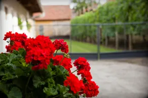 Apartment House 150 - Image 5