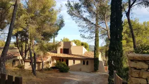 Quiet charming house, under the pine trees - Image 2