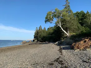 Oceanfront Cottage & Guest House, Private Beach, 3 Miles to Acadia National Park - Image 5