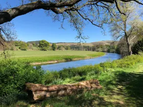 Stylish Scottish, book-filled getaway with beautiful walks - Image 5