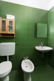The Green House - Image 3