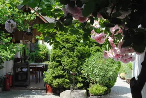Vacation at the Winzerhof - Image 2