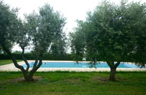 casa Nenella - Image 4