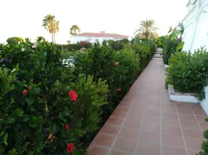 Drømmeferie i Mijas Costa (El Faro) - Image 2