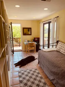 Birds&Bunnies everywhere! *Topanga Canyon* Dogs OK - Image 2
