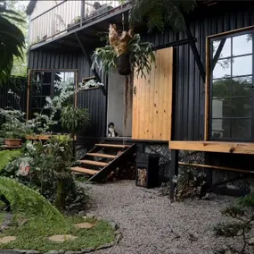 Casa Jungla - Image 4