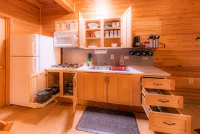 Elk Hollow Cabin with CHARM Backs National Forest, WIFI, stocked kitchen, BBQ - Image 2