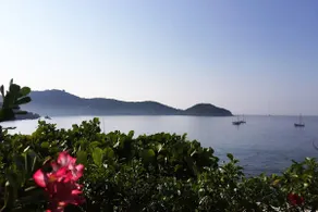 Your Own Piece of Paradise - Image 2