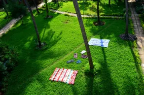 Charming appartment candolim beach - Image 4