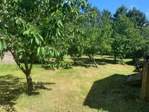 Close to nature farm in Tyfta - Image 2