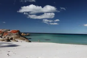 ARTHOUSE Bay Of Fires INSPIRING BEACH HOUSE - Image 3