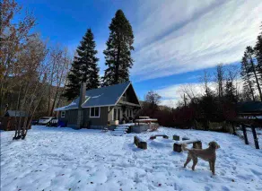 The ultimate dog-friendly mountain retreat - Image 2