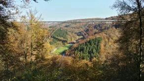 Apartment with a view for 1-10 guests, 3 rooms, kitchen, bathroom - Image 2