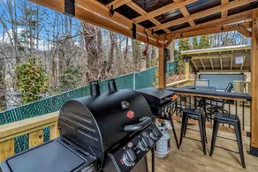 Near Downtown Black Mtn-Hot tub/Fireplace/Fire-pit - Image 4