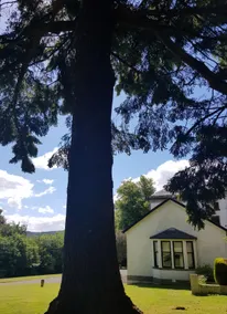 Perfect for exploring the West, near Loch Lomond - Image 3