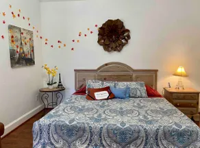 2. Guests’ (independent) apartment near DFW - Image 2