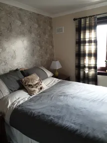 Comfortable home from home - Image 2