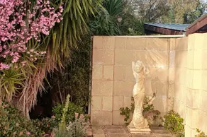 Garden Studio by Peacock - Image 2