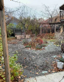 Black Cat Guest House - Image 3